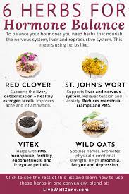 6 Herbs That Balance Hormones That You Re Probably Not Using Foods To Balance Hormones Healthy Hormones Hormone Balancing
