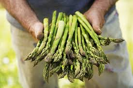 We did not find results for: How To Harvest And Store Asparagus