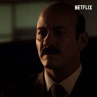 The perfect piñera por dios animated gif for your conversation. Pinera Gifs Get The Best Gif On Giphy