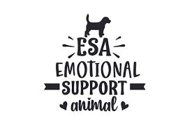 This makes them a great asset in web design. Pin On Design