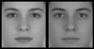 Identical faces with different contrast appear male and female