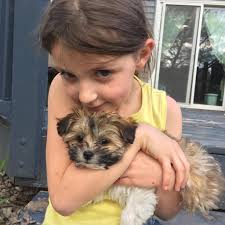 Home Visit Veterinarian