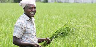 Government to Release PM Kisan 9th Installment Anytime; Check Status