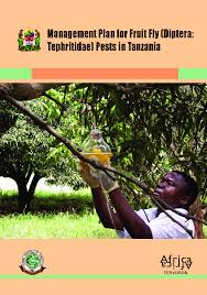 Image result for Landolphia bruneelii