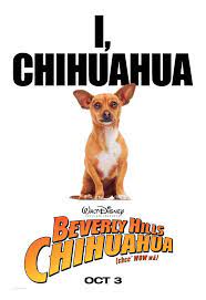 Beverly Hills Chihuahua Image Beverly Hills Chihuahua Chihuahua Beverly Hills