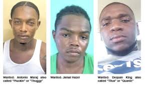 Trio wanted by Police for multimillion-dollar gold heist