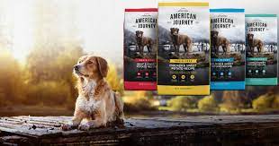 The 10 Best American Journey Dog Foods