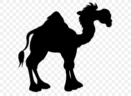 The battle of the camel, also known as the battle of jamel or the battle of basra, took place at basra, iraq on 7 november 656. Arabian Peninsula Battle Of The Camel Rashidun Caliphate Battle Of Uhud Banu Taym Png 600x600px Arabian