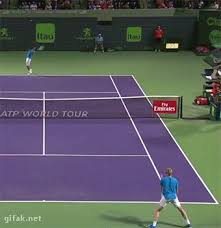 Download gif post, winning, tennis, talk, or share djokovic animation you can share gif celebration with everyone you know in. Djokovic Gif On Imgur
