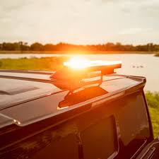 Image result for Safety Yellow 1995 Fleet