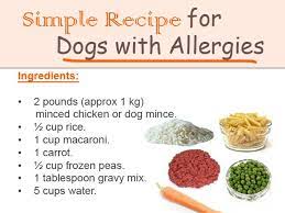 Dogs With Allergies Dog Food Recipes Make Dog Food Healthy Dog Food Recipes