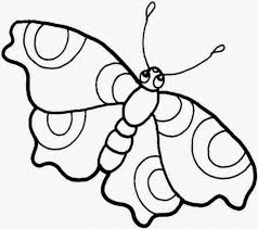 Beautiful Colour Butterflies Drawing Hd Wallpaper Butterfly Coloring Page Butterfly Drawing Butterfly Printable