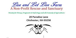 Maybe you would like to learn more about one of these? Pets For Adoption At Live And Let Live Farm In Chichester Nh Petfinder