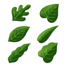 Over 1,362,397 leafs pictures to choose from, with no signup needed. Water Color Green Leaves Clipart Set Vector 359729 Download Free Vectors Clipart Graphics Vector Art
