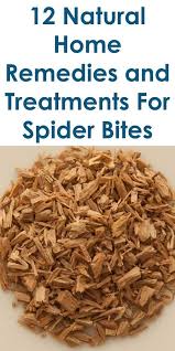 12 Quality Home Remedies For Spider Bites Life Hacks