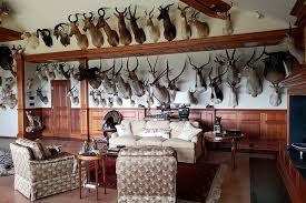 We did not find results for: Trophy Room Design Jonas Brothers Studios Of Ny