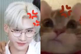 María José Mitchell (marajosmitchell)