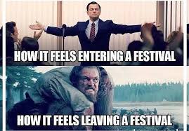 Entering A Festival Meme Funny Memes Rave Meme Memes