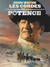 Les Cordes de la potence (Cahill U.S. Marshal) 1973