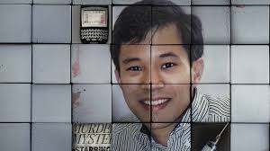 Watch Who Killed Robert Wone? Online