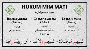 Jika kalian menemukan contoh lainnya selain 8 contoh di atas, silakan sebutkan di kolom komentar. Hukum Mim Mati Idzhar Syafawi Ikhfa Syafawi Dan Idgham Mimi
