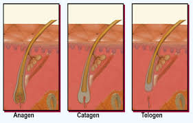 Book online now for laser hair removal at hair free sydney city. Laser Hair Removal Sydney All Products Are Discounted Cheaper Than Retail Price Free Delivery Returns Off 69