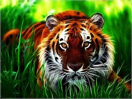El fondo de pantalla generalmente estará cubierto por si prefieres tener la compañía de un animal como fondo en la pantalla de tu móvil, aquí explora en nuestros medios. Fondos 3d De Animales Fondos De Pantalla En 3d Imagenes De Tigres Imagenes Wallpapers Hd Tigre De Acuarela
