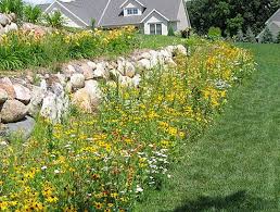 Plant these low care perennial flowers that bloom all summer in the full sun or partial shade from seed to save you on the budget for gardening. Easy Care Borders Of Wildflowers In Michigan