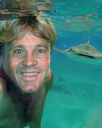 Why The Crocodile Hunter Didn't Survive