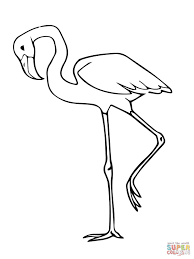 Culture and tradition coloring pages. Flamingo Coloring Page Bird Coloring Pages Butterfly Coloring Page