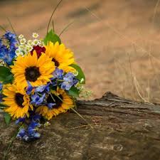 Check spelling or type a new query. My Viola Floral Studio Florists 716 Central Ave Great Falls Mt Phone Number Yelp
