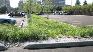 Ccf Ocpm Green Parking Lot Landscape Parking Design Rain Garden