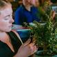 Bonsai Workshop at Tilted Barn Brewery