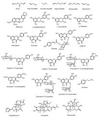 Image result for Paropsia brazzeana