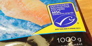 Allerdings gibt es auch kritik. Das Geht Besser Warum Das Msc Siegel Reformiert Werden Muss Nabu
