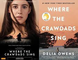 Book-based movies and TV shows adapted by Olivia Newman, ranked