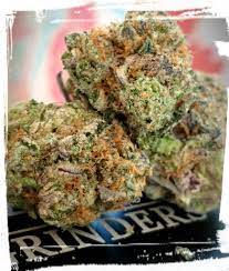 Polyester strain gauge 10 pcs. Blue Cookies Aka Blue Gsc Blue Girl Scout Cookies Weed Strain Information Leafly