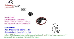 「"leave a reply"+"name"+"91"+"+"+"=" somatic」的圖片搜尋結果