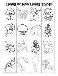 We made a class web together of basic needs. Coloring Pages Of Living And Nonliving Things