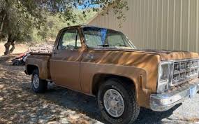 Image result for Brown 1979 GMC