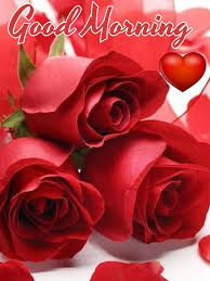 Wish all your friends, loved ones and family a great morning sharing these best and beautiful collection of good morning with red flowers images. Pin On Good Morning Good Afternoon Blessings