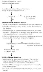 Prolonged Febrile Illness And Fever Of Unknown Origin In