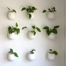 Wall Mounted Hanging Flower Pots And Plants Types Of Houseplants Hanging Flower Pots Plants
