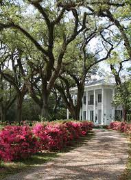 Several of the authors listed have written entries for the encyclopedia of alabama. Abenteuer Alabama Entdecke Kultur Musik Natur Visit The Usa