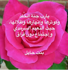 pin by alexandra szajkowska on arabic quotes flowers rose arabic quotes