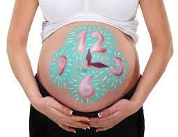 Quantas Semanas Dura Uma Gravidez Normal Sou Mamae