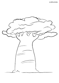 Baum Malvorlage Kostenlos Baume Ausmalbilder