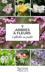 Epingle Sur Conseils Et Astuces Jardins