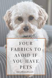 If You Have Dogs Or Cats Avoid These Fabrics On Your Furniture To Save You Money And Frustration F Pet Friendly Furniture Dog Friendly Furniture Pet Friendly