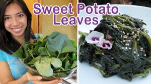 By trollfacetheman in outside survival. Harvesting Cooking Sweet Potato Leaves Youtube